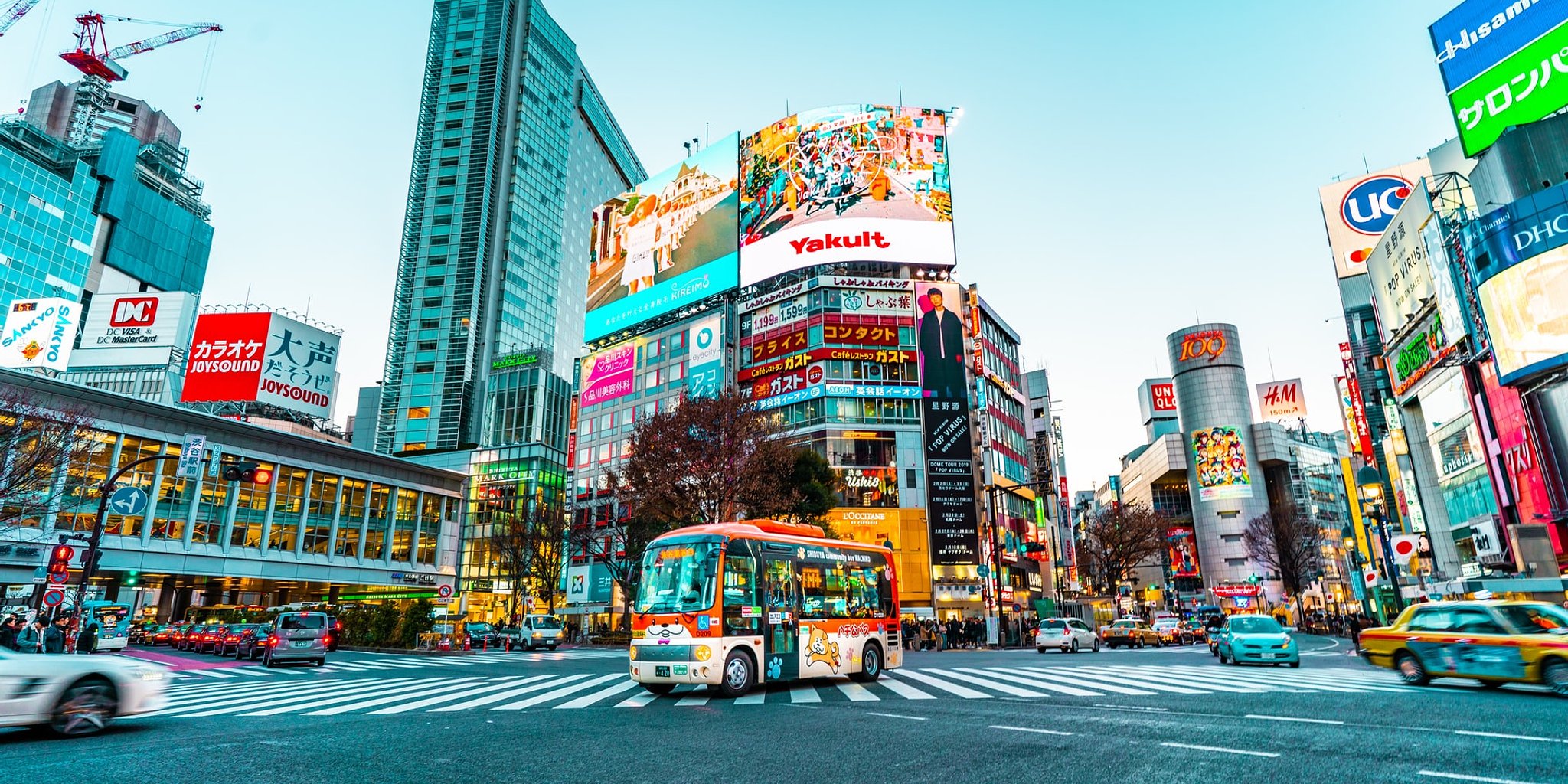 30 of the Best Things to do in Tokyo Today by Shannon Alfes