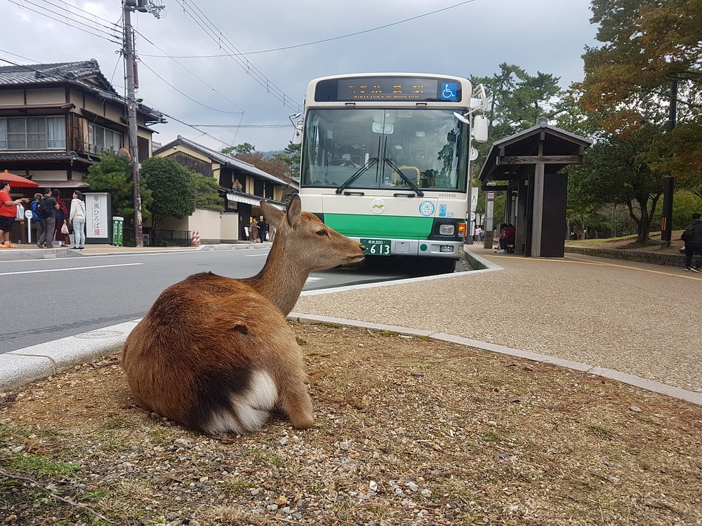 Nara-shi, Japan