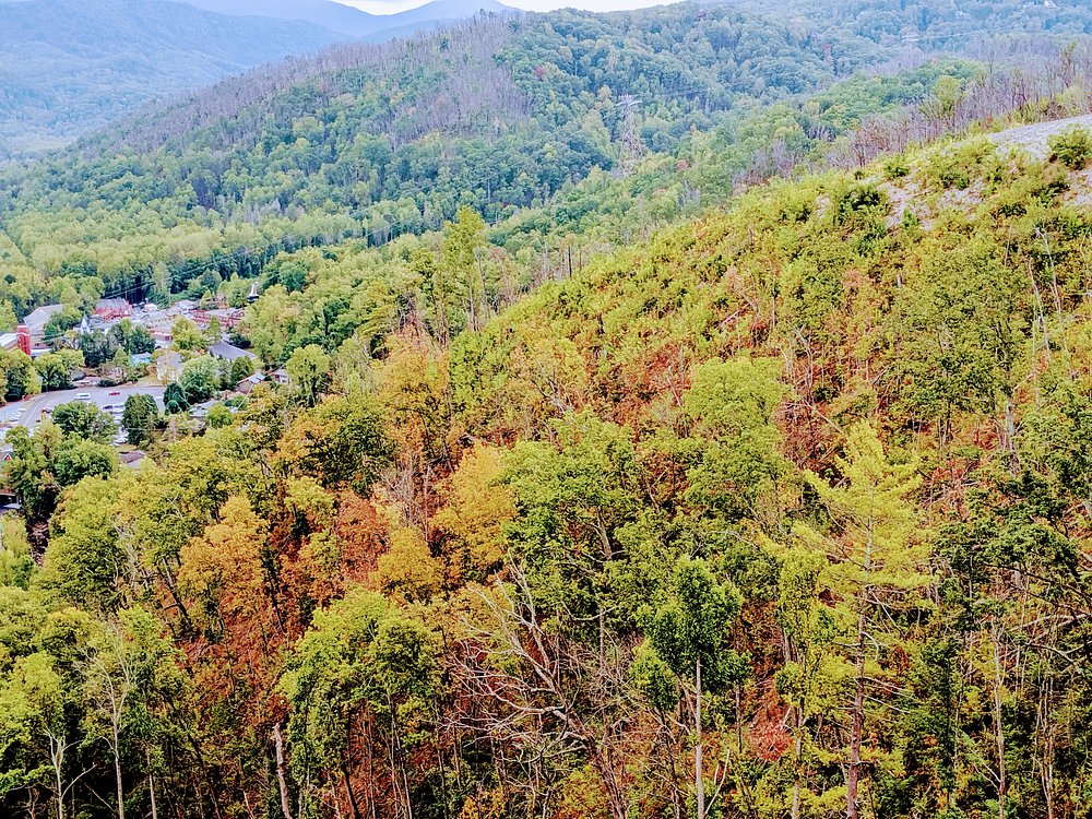 Tennessee, United States