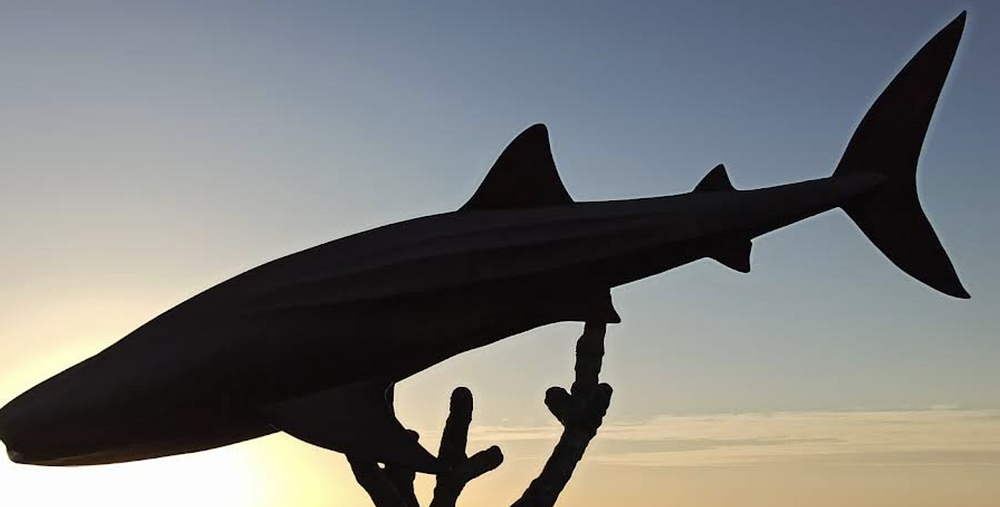 Cabo San Lucas, Mexico