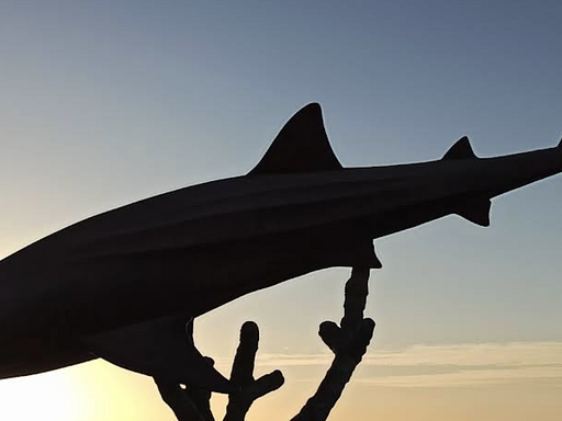 Cabo San Lucas, Mexico