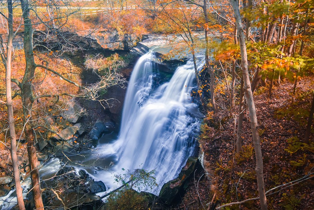 Cleveland, OH, United States